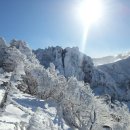 한라산 백록담 산행기 이미지