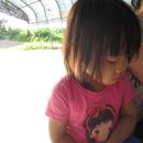 기일농장 이미지