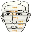 관상학 이미지