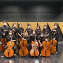 첼로(성인반) 이미지