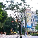 남산타운어린이도서관 이미지