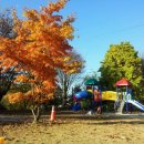 녹지어린이집 이미지