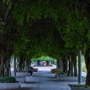 부천중앙공원 이미지