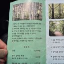 숲 - 광산구 신창로33번길 21 | 양평 서후리숲 내돈내산 솔직후기