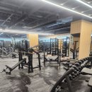 씨앤드래곤 이미지