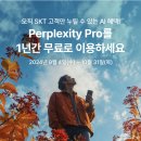 SK텔레콤 사용자 AI검색 Perplexity Pro 1년 이용권(29만원) 무료(~10/31일) 이미지