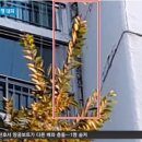 수원-1991 이미지