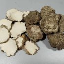 식용및 약용가능한 균사체인 호랑이우유버섯균 이미지