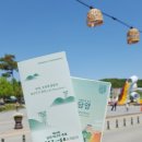 당동초교일원(정문↔후문) | 2025 담양 대나무 축제 둘러본 후기 1탄: 광주 유스퀘어에서 담양 가는 방법, 대나무떡, 축제 이모저모