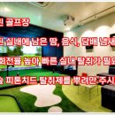 초록실내골프연습장 이미지