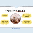 운천한방병원 이미지