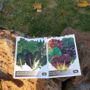 귀덕농장 이미지