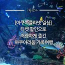 팜퓨리 일산본점 | [아쿠아플라넷 일산] 티켓 할인으로 저렴하게 즐긴 아쿠아리움 가족여행