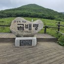 조희펜션