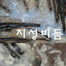 헤어 리 케이