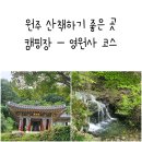 금대에코힐링캠핑장(주차장) 이미지