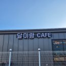 양촌애견 | 김포 양촌 카페 달미랑 방문후기