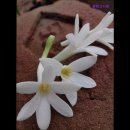 서울광학 | [서울 용산 용산구 고시원 고시텔 원룸텔 추천] 광학고시원 서울역 근처 접근성 최고