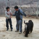 골든블랙123 이미지