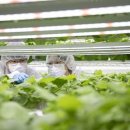 그린바이오앱 이미지