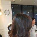 스펠라헤어메디컬 이미지