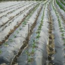 제현농장 이미지