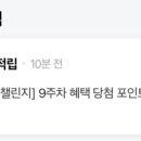 노르웨이의 숲 네이버블로그