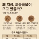 곡물백과
