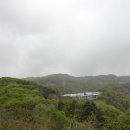 청량산 임도1 이미지