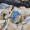 지씨울산
