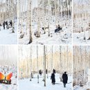 동아실 폭포 입구 이미지