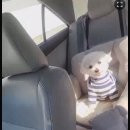 아임셀라 | 11월 마지막