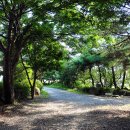 포천 베어스 글램핑 파크 이미지