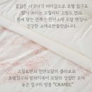 프리미엄 엔틱 고밀도모달 침구 특가 이미지