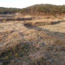 장고항1리마을회관 이미지