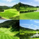 캐슬렉스CC 이미지