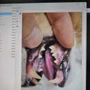 구로종합동물병원 이미지