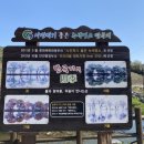 차이나는활패짬뽕
