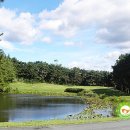 경주고속주유소 이미지