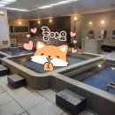 천기화사우나 이미지