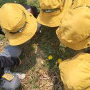 초록샘어린이집 이미지