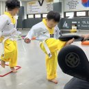 MTA 참 태권도 | 4살 유아체육:)대구 어셈블태권도 한달후기 만족