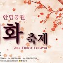 매화목장 이미지