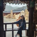 성주군 노인회관 | 사립 강원종합박물관 후기 [대순진리회 사이비]