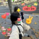 강냥이 | 한양에서 코 질질 흘리고 다닌 후기. (해리포터 팝업, 딘타이펑, 그동네떡볶이, 리락쿠마, 안씨브러쉬...