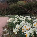 나무가 들려주는 환경이야기 | 통영 산유골수목공원-바다 대신 숲으로 향한 하루, 나무가 들려주는 조용한 이야기