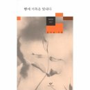 서쪽시선