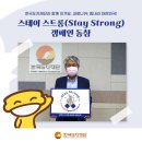 스테이 도민 이미지