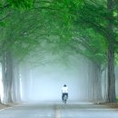 소소한 행복 이미지