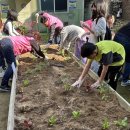 도화2,3동 이미지